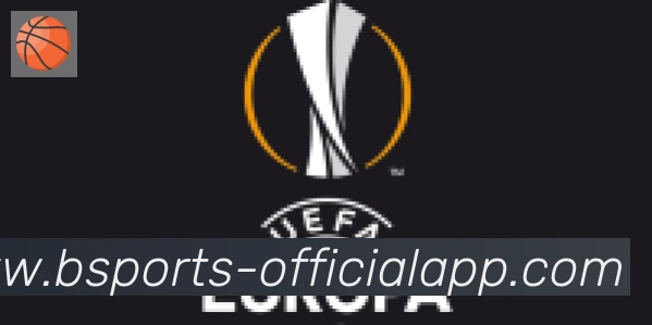bsports体育合作伙伴