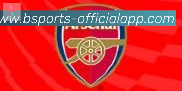 bsports体育合作伙伴