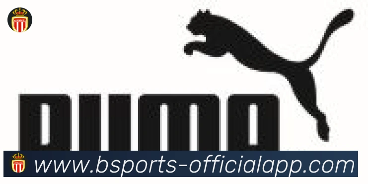 bsports体育合作伙伴